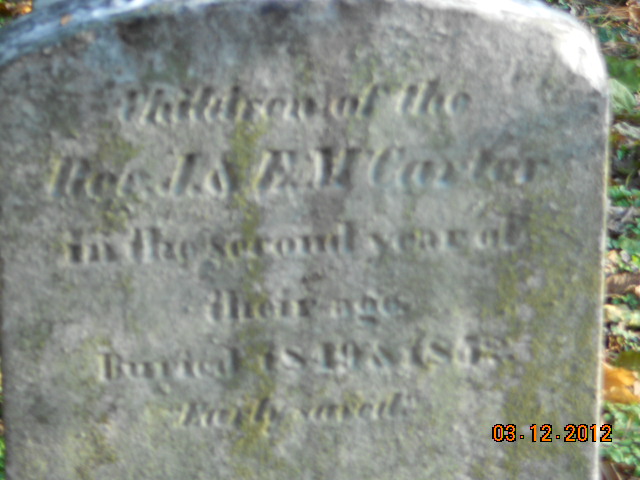 Rev J. M'Carter