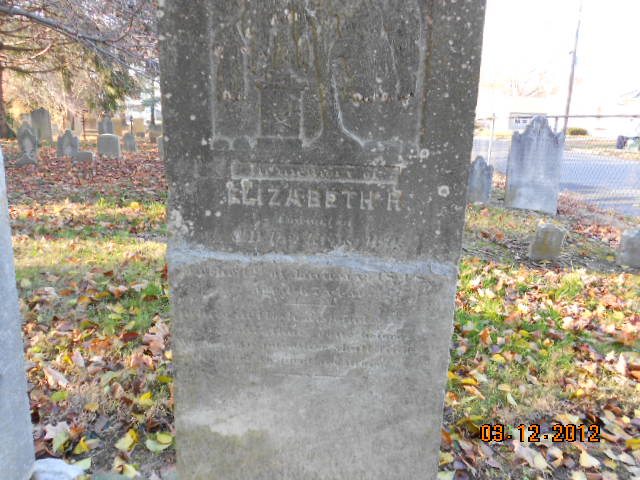Elizabeth R Perkins