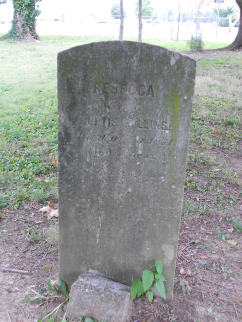 Rebecca Collins