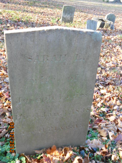Sarah L Faries