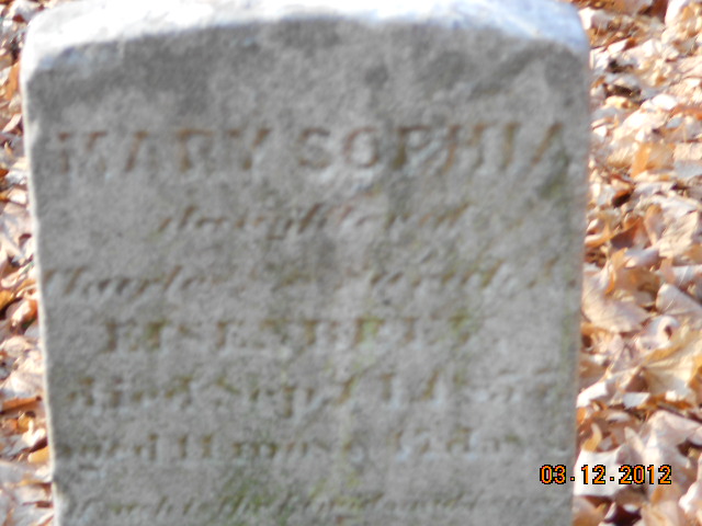 Mary Sophia Eisenbrey