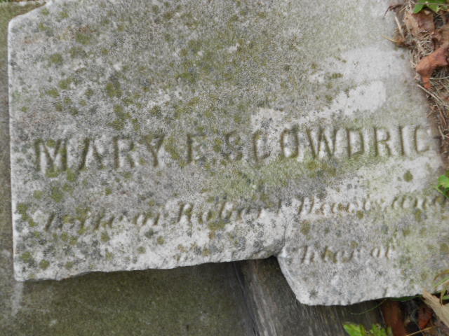 Mary E <i>Scowdrick</i> Davis