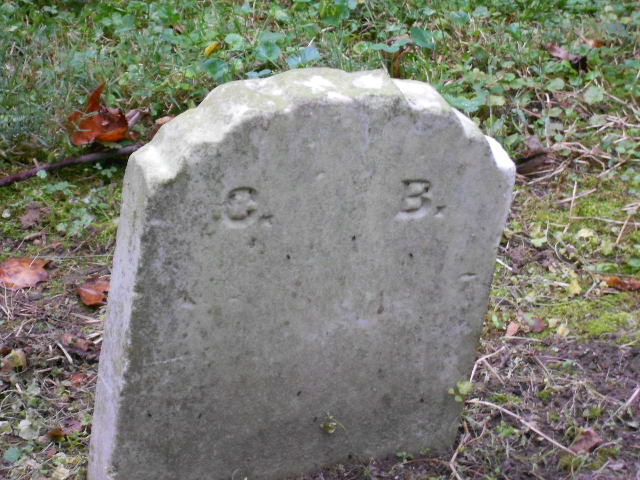 Charles Bowman
