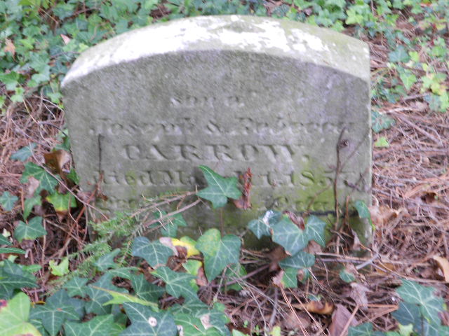 Johnny Carrow