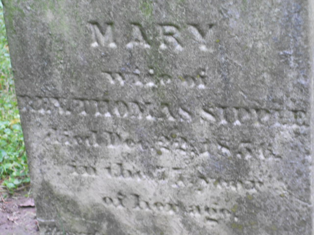 Mary Sipple