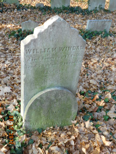 Ann Windle