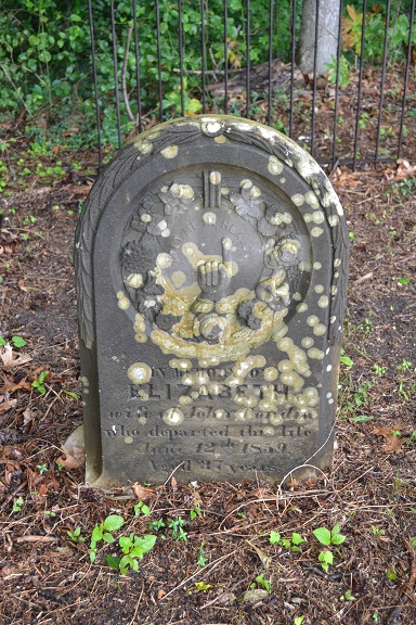 Elizabeth Condin