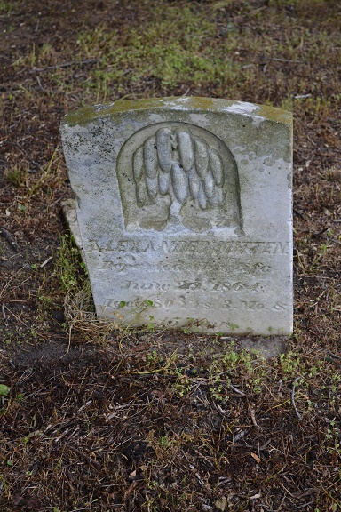Alexander Mitten