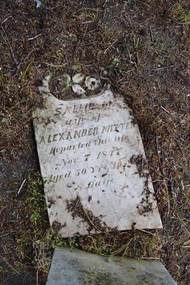 Sallie M. Mitten