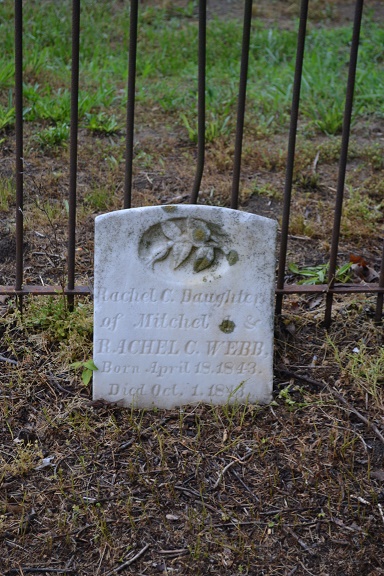 Rachel C. Webb