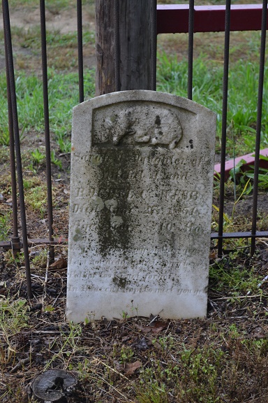 Sarah A. Webb