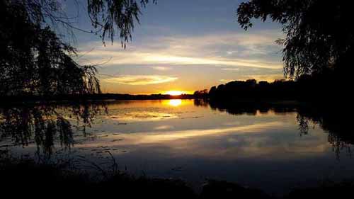 Forest Lake at Sunset by Brian Price