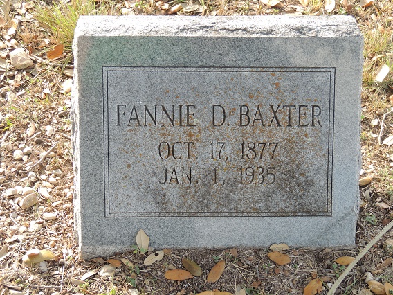 Francis Defeina Fannie <i>Tindal</i> Baxter