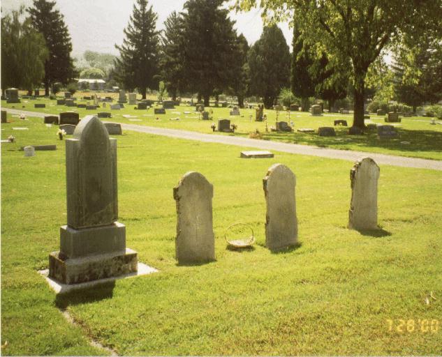 ellis_plot.jpg (77665 bytes)