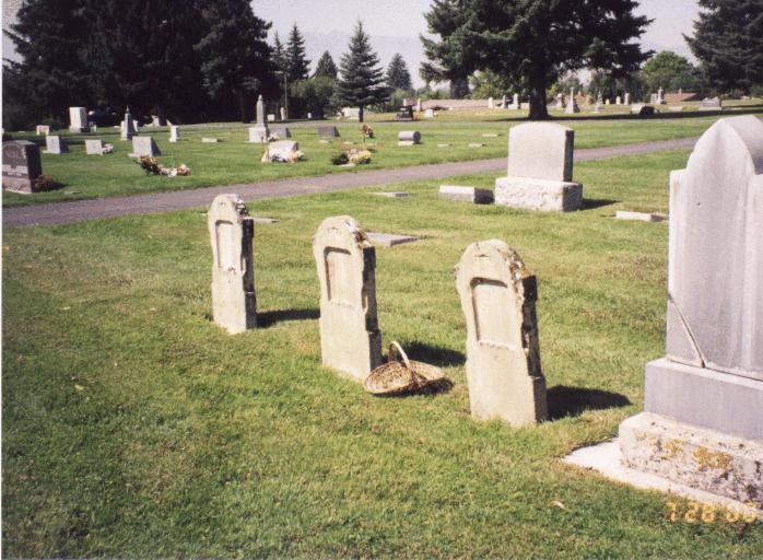 ellis_plot2.jpg (77665 bytes)